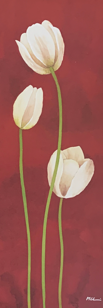 25x70 - 5Y - F28 - 24