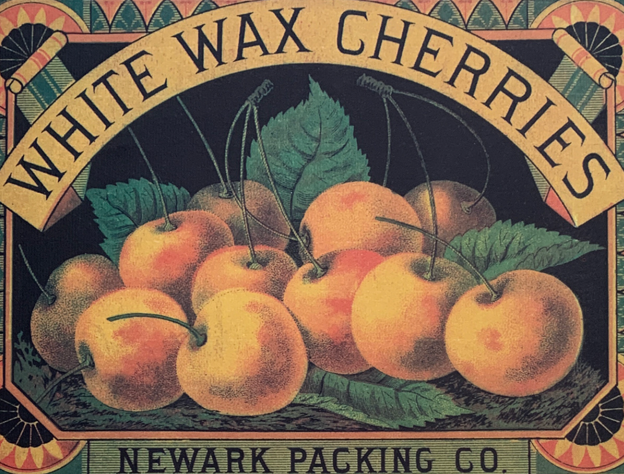 43x34 - COD: 5U - V17 - 16