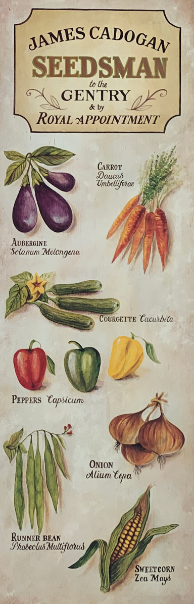 25x66 - COD: 6BB - C53 - 20