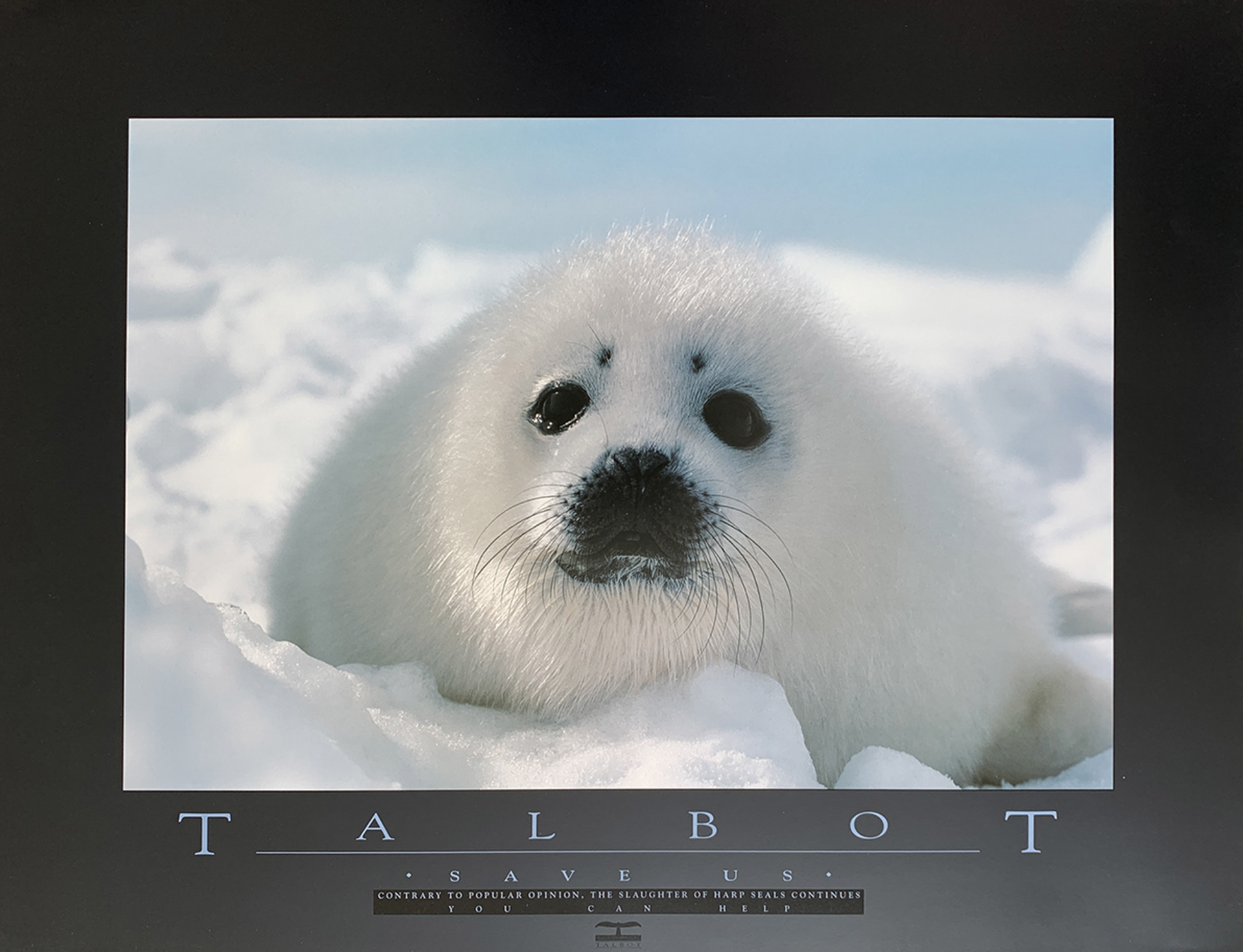 60x80 - 6DD - F17 - 18