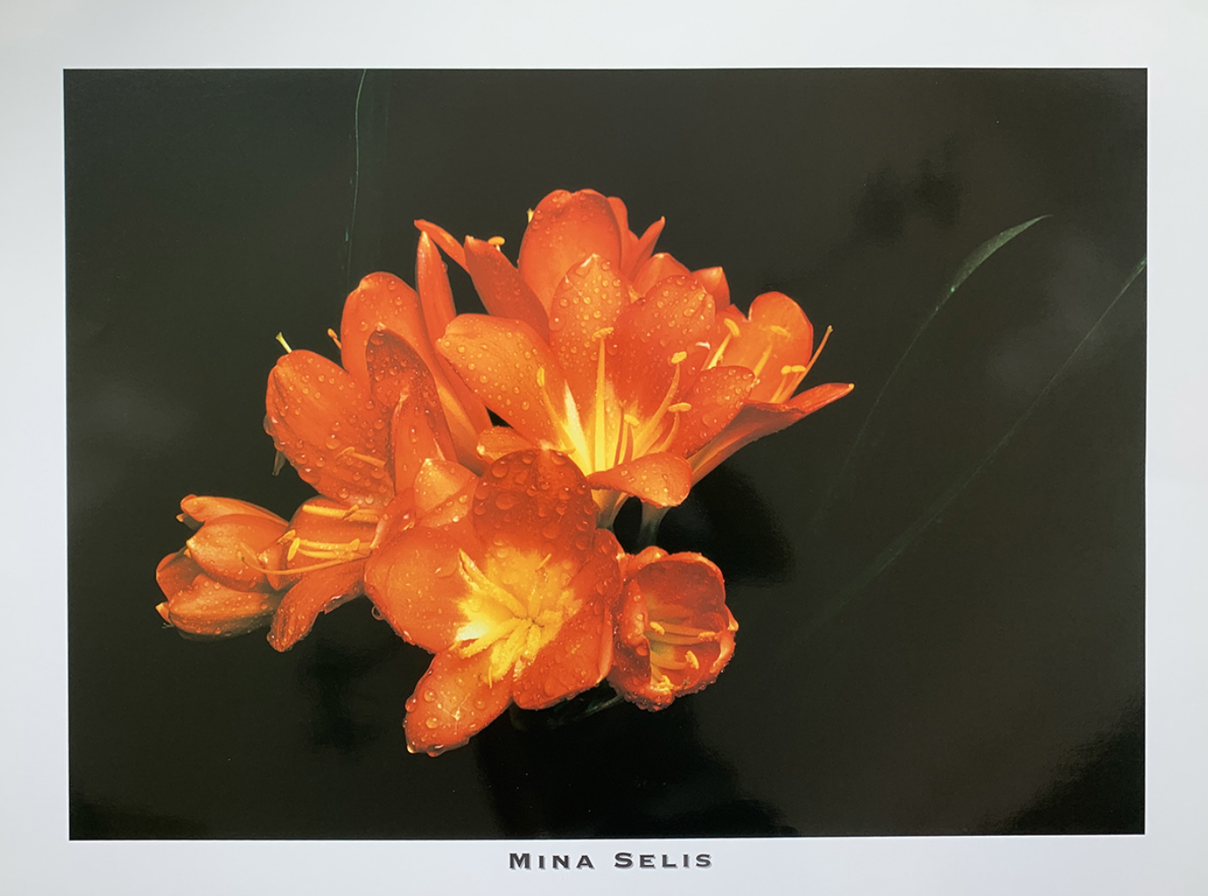 80x60 - 6DD - F15 - 18