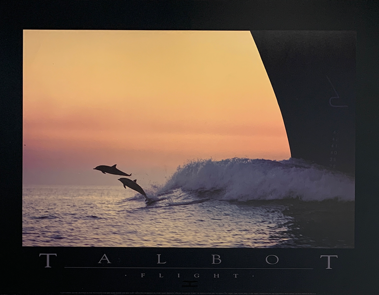 61x46 - 6EE - F09 - 18