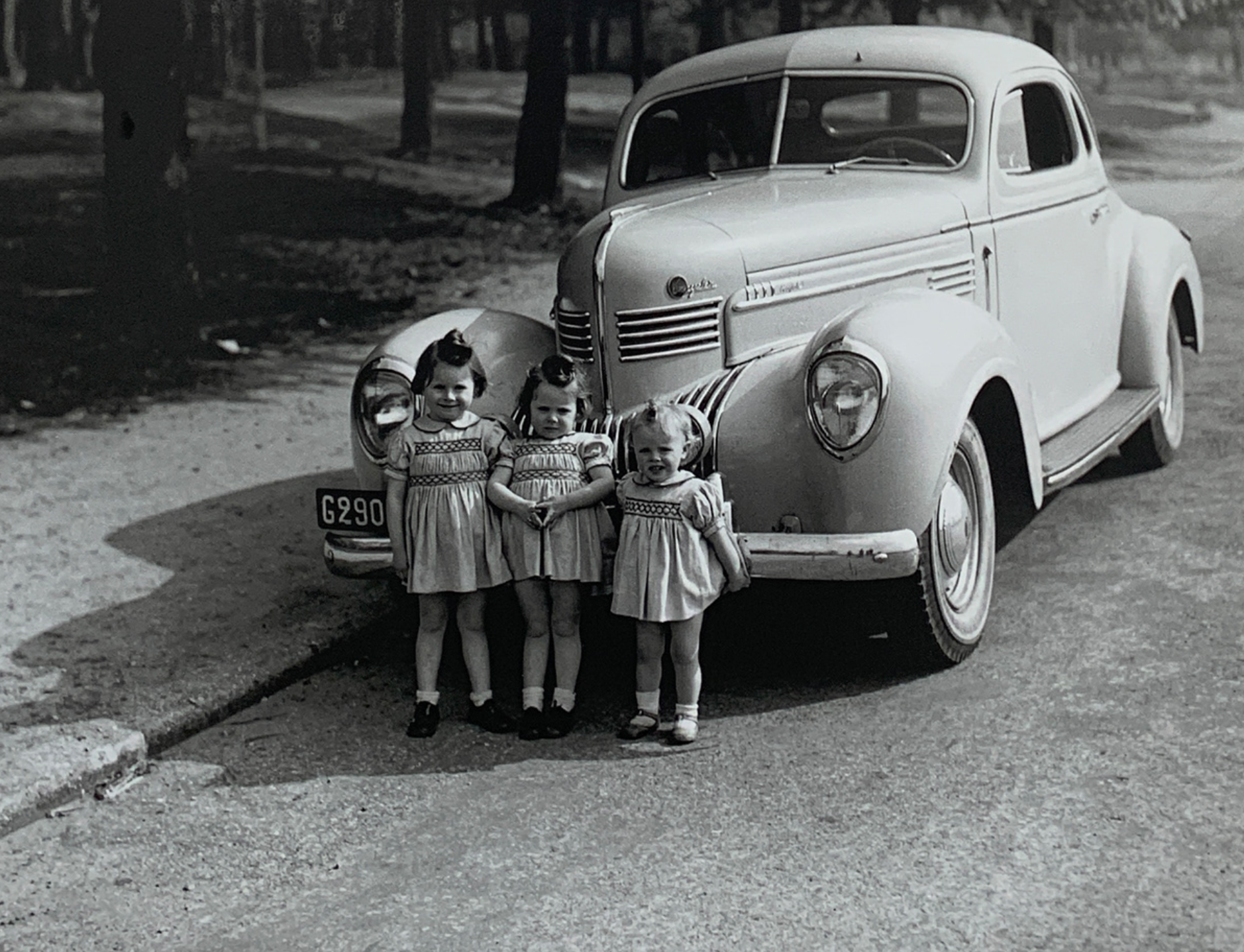 50x40 - 6HH - F03 - 15