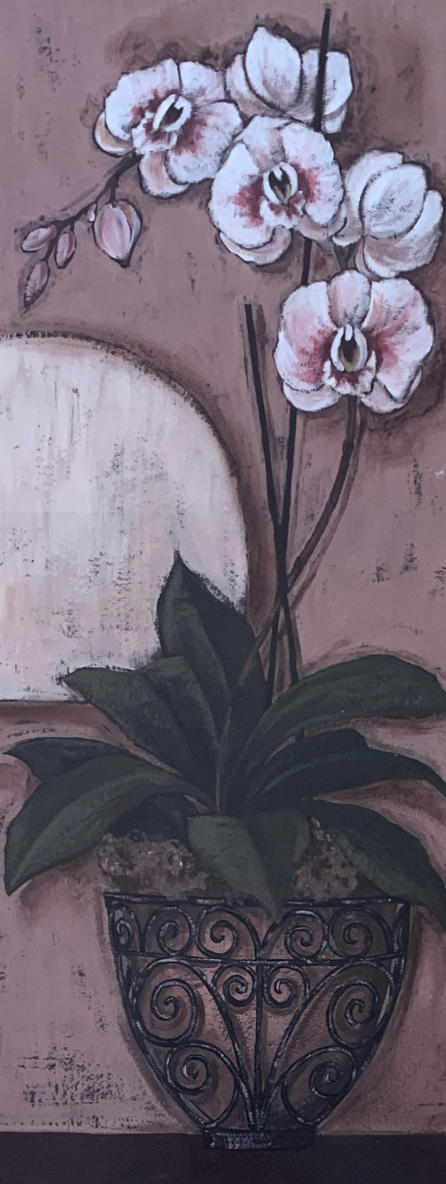 20x50 - COD: 6CC - C41 - 10