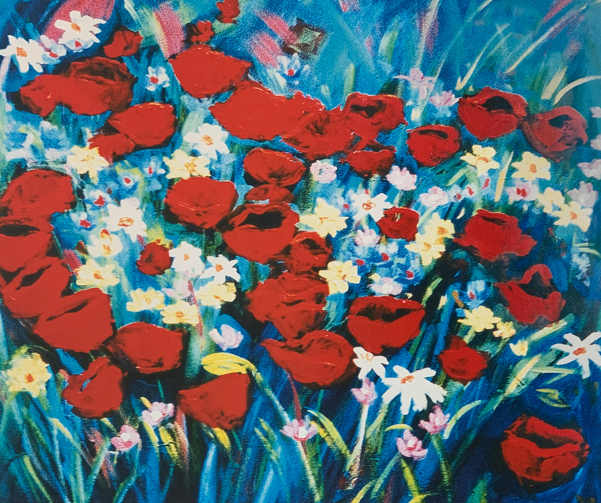 80x60 LF 572