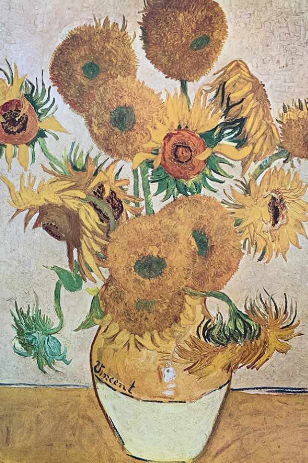 65x96 - COD: 4R - M05 - 27