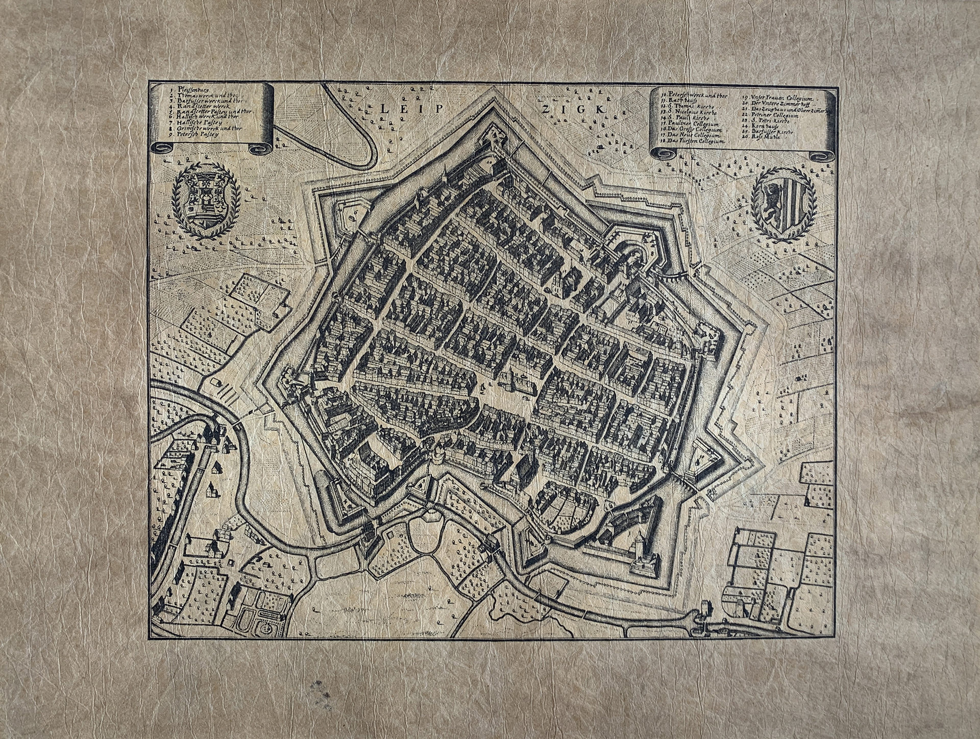 74x56 - COD: 3Q - i13 - 45