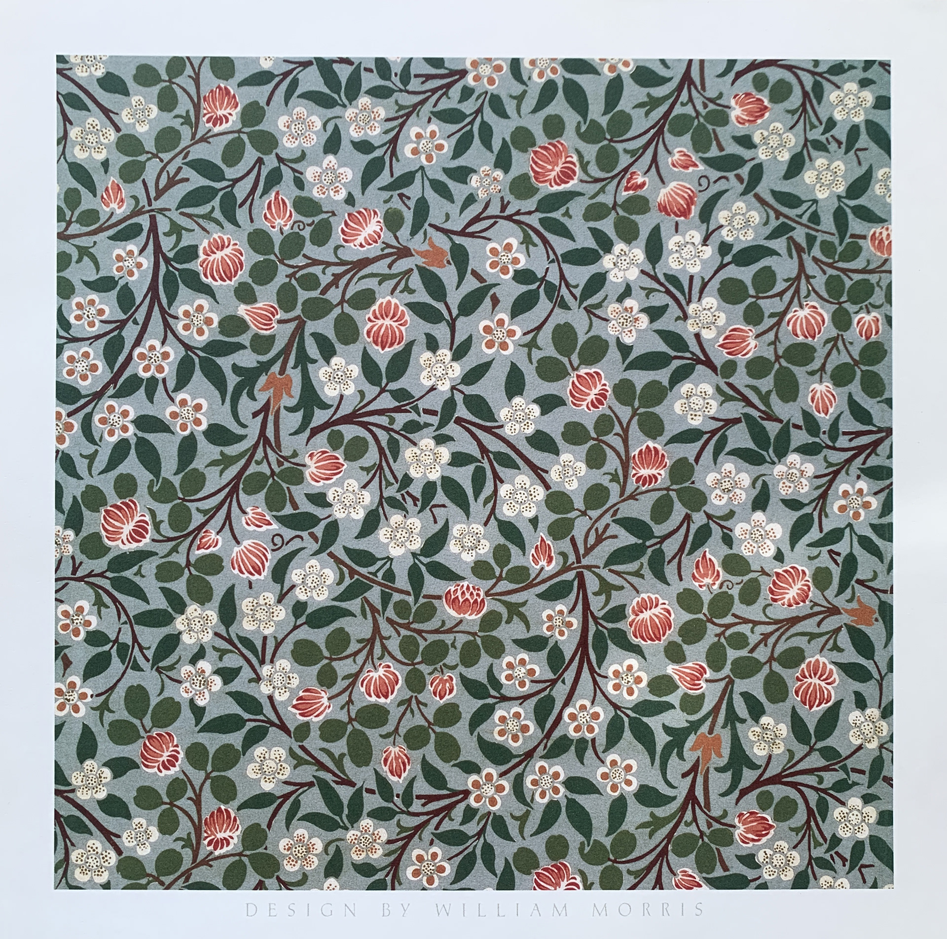 30x30 - COD: 5U - V50 - 10