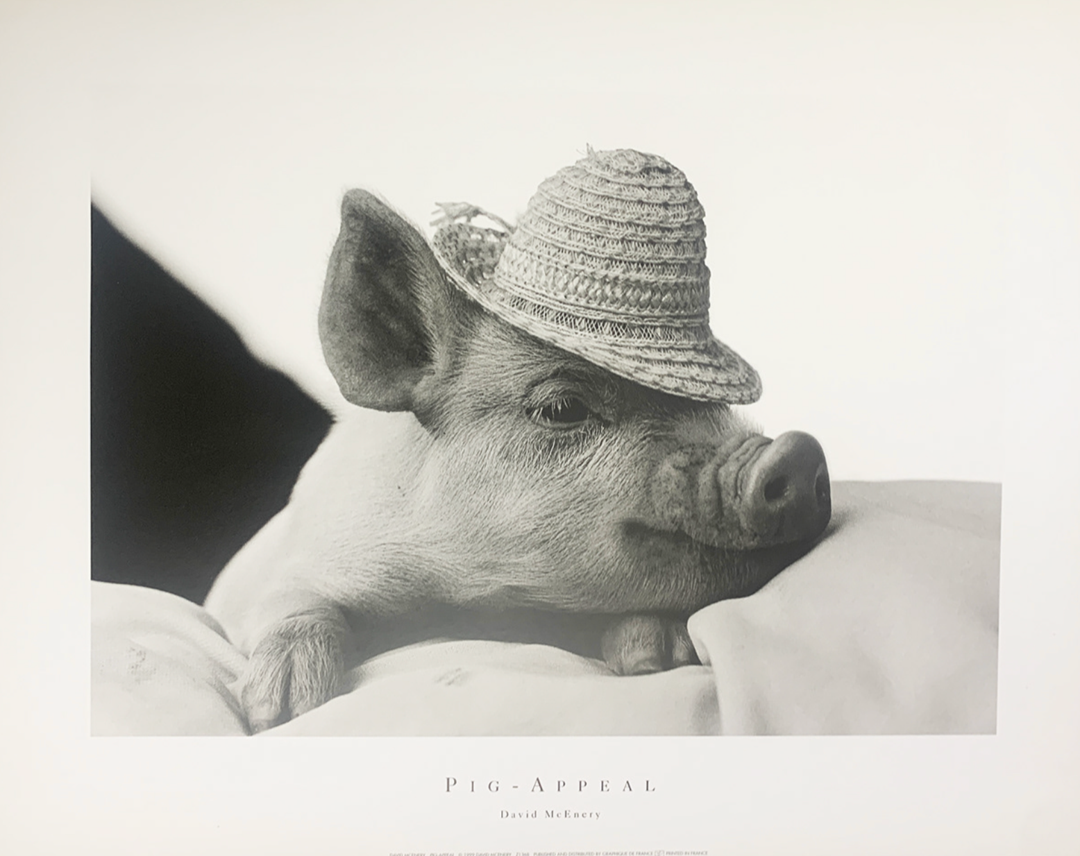 50x40 - 6HH - F12 - 15