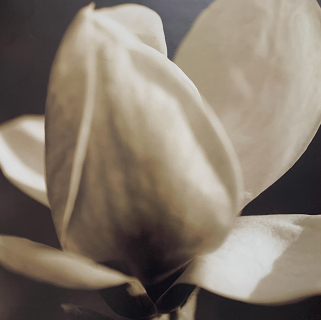 50x50 - 5Y - F18 - 14