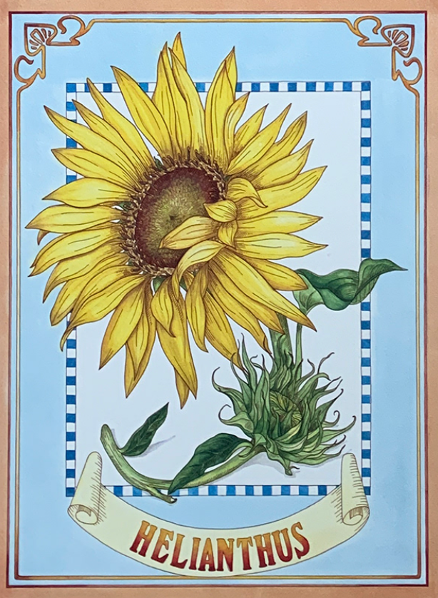 30x40 - COD: 5U - V66 - 12