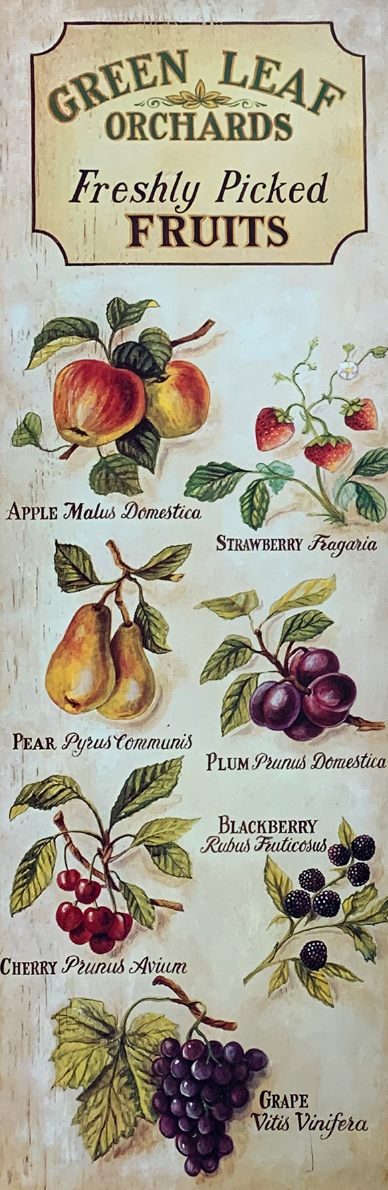 25x66 - COD: 6BB - C51 - 20