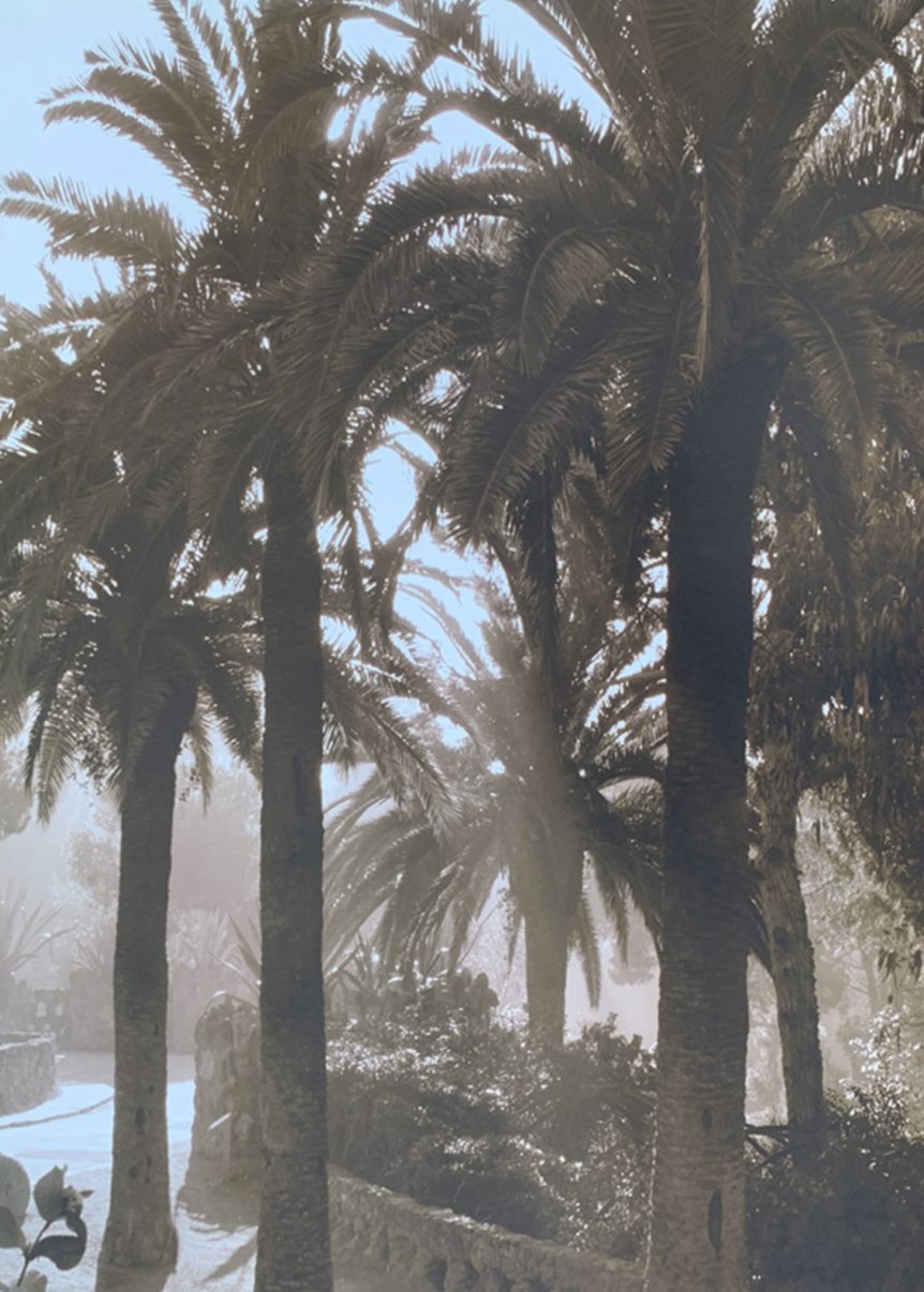 48x68 - 6GG - F23 - 10