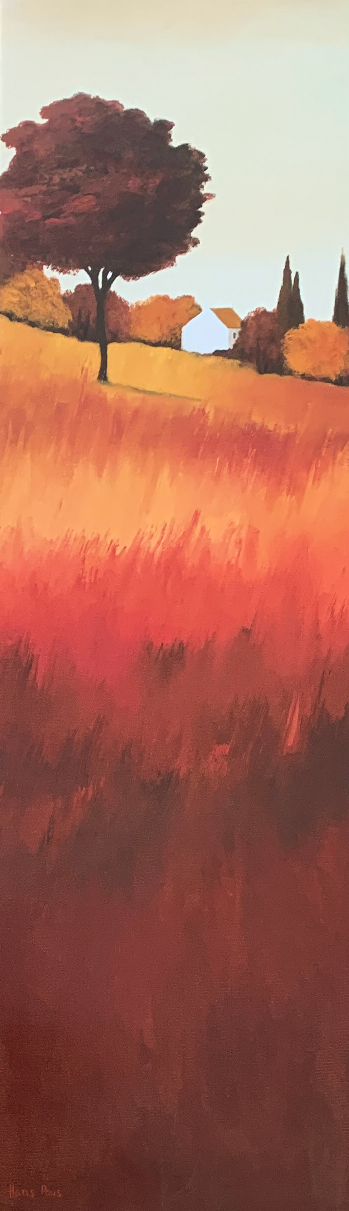 20x44 COD: LP257