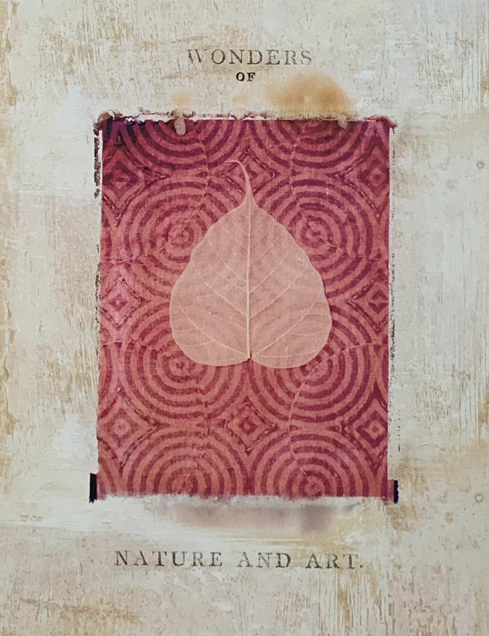 30x40 COD: LC408