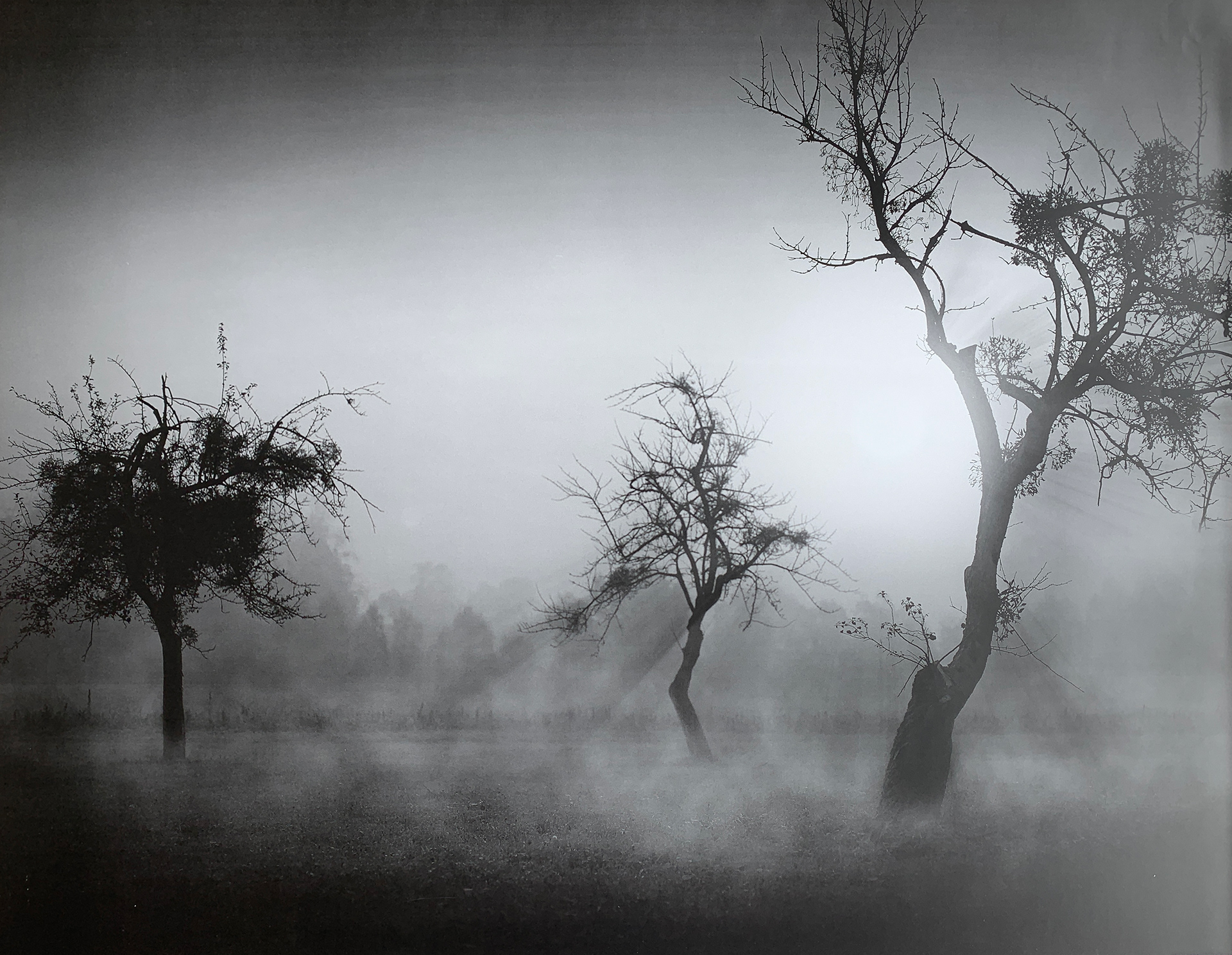 90x70 COD: LBB094 - 55