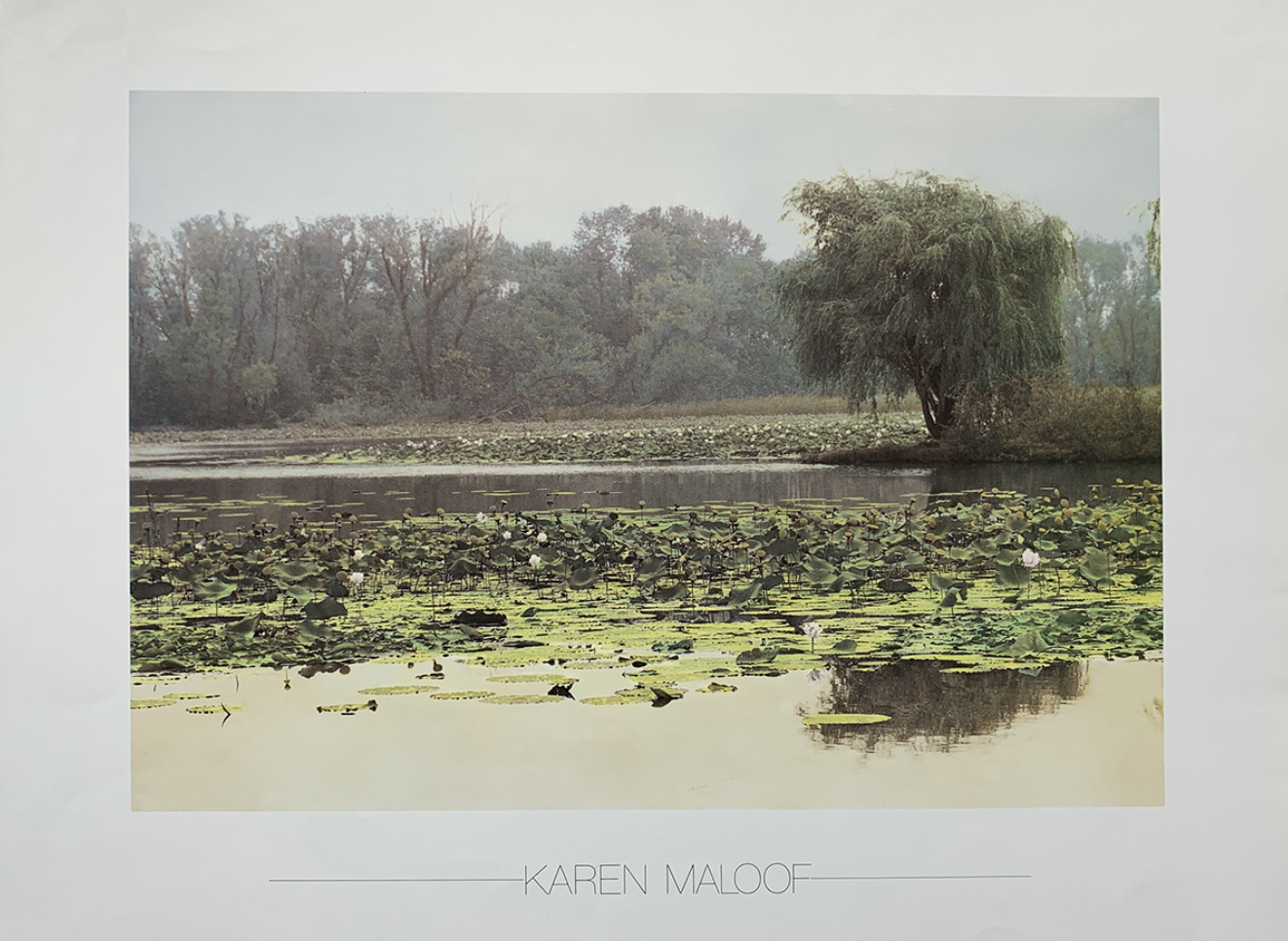 60x45 - 6EE - F08 - 16