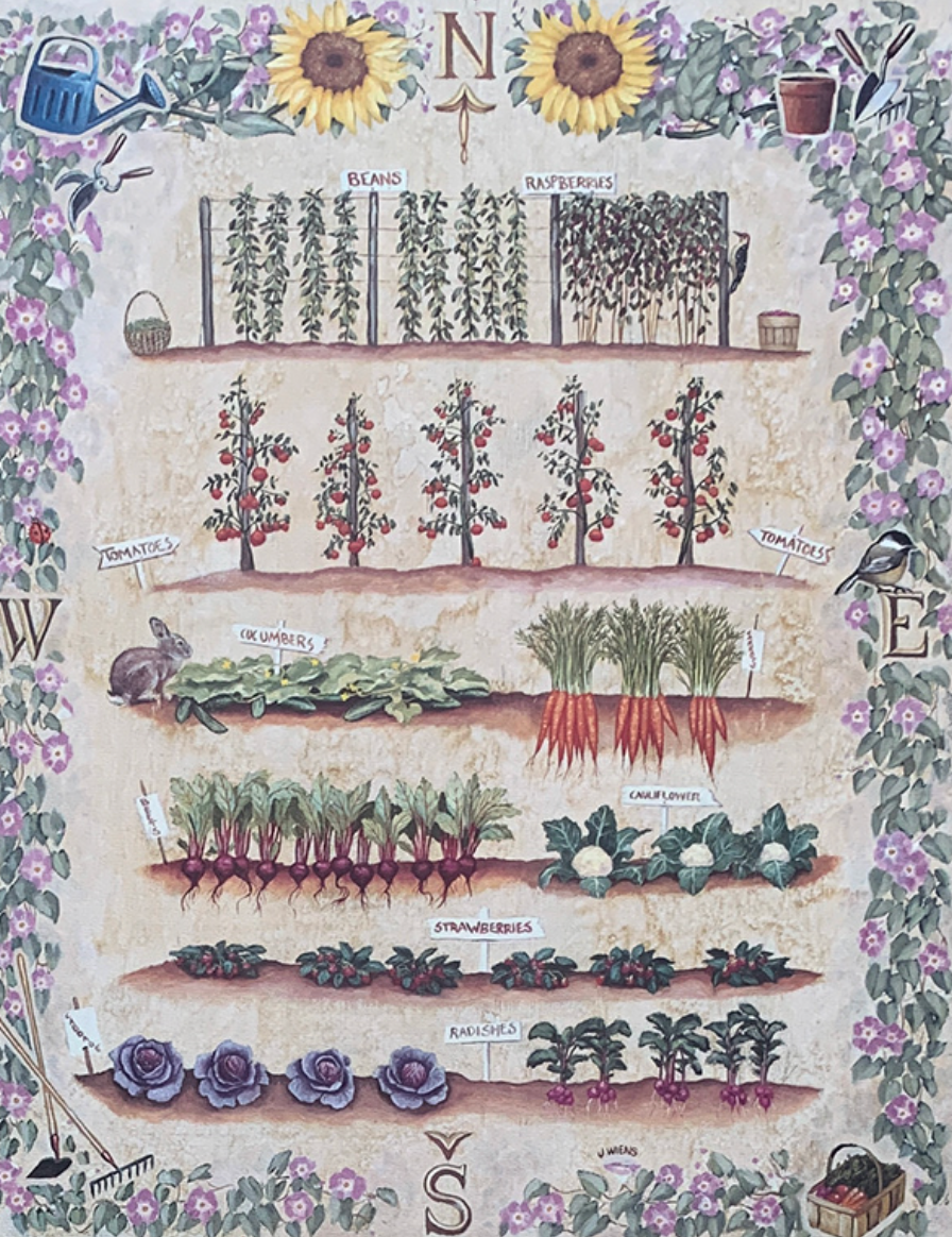 40x50 - COD: 5U - V61 - 18