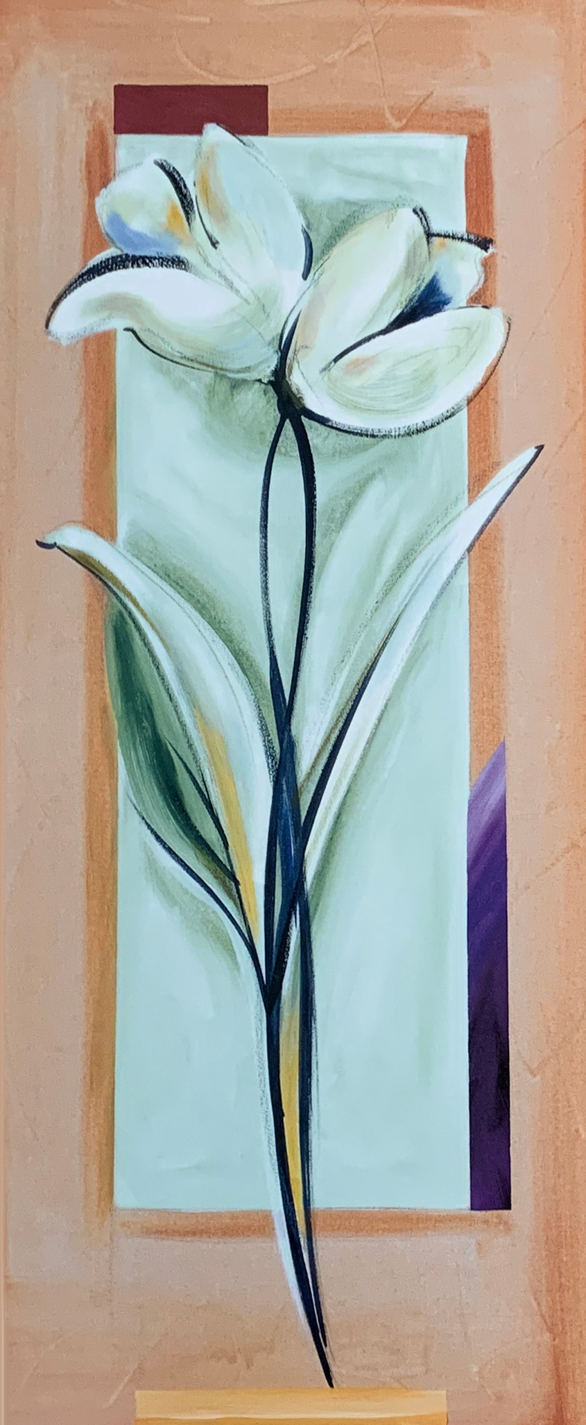 30x70 LF 515