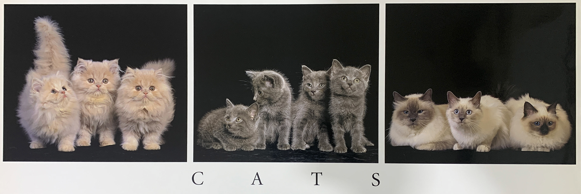 95x33 - 6EE - F17 - 22