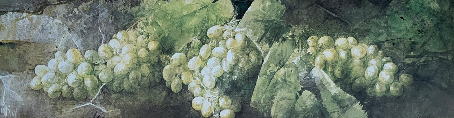 90x30 - COD: 6AA - C03 - 19