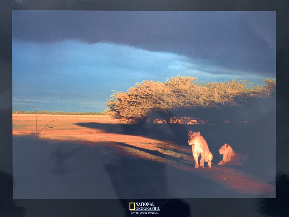 80x60 - 6DD - F14 - 18