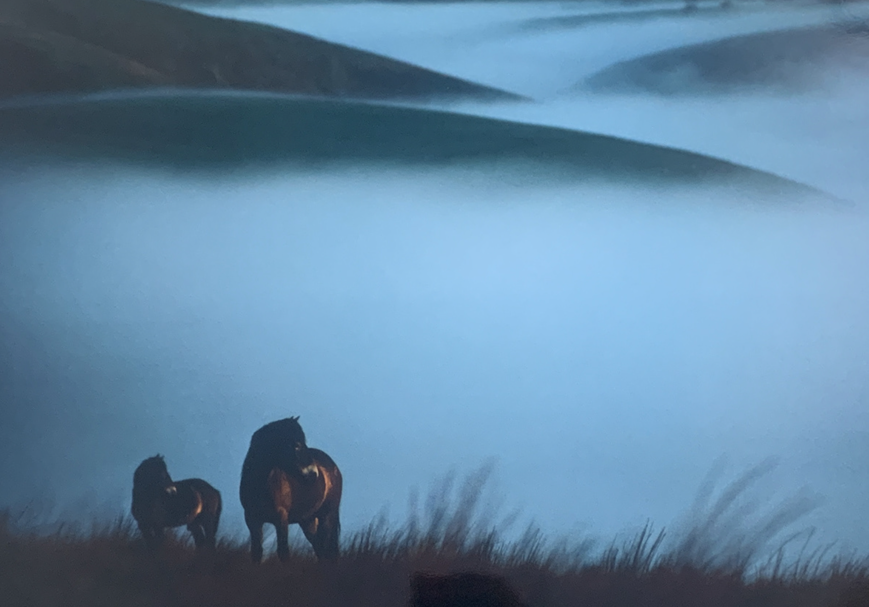 80x60 - 6DD - F18 - 18