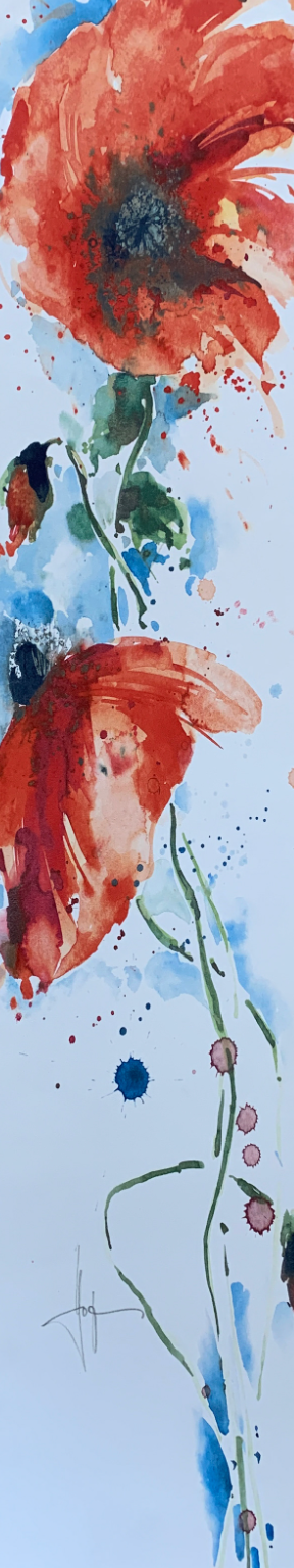 20x96 - 5Z - F23 - 26