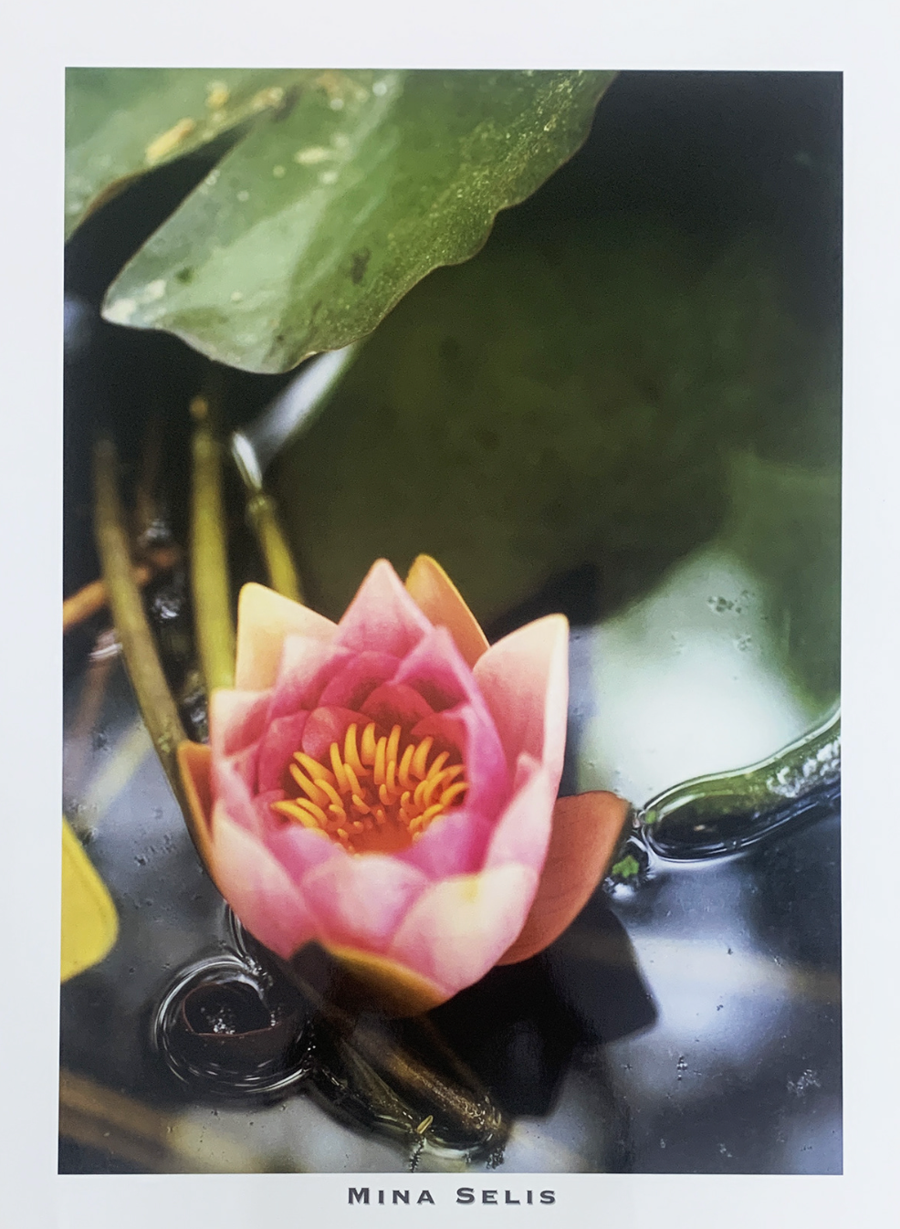 60x80 - 6DD - F20 - 18