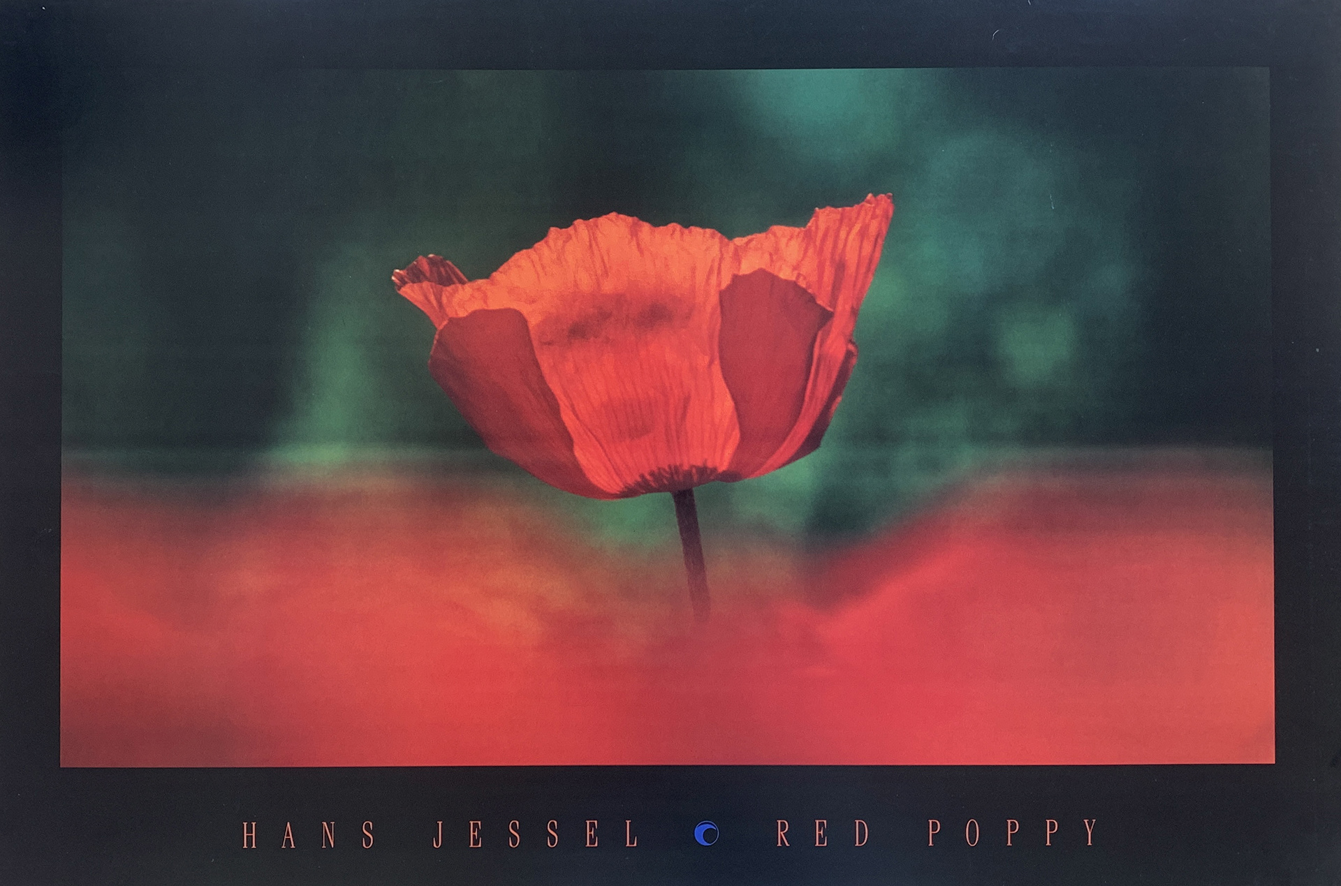 66x46 - 6EE - F01 - 16