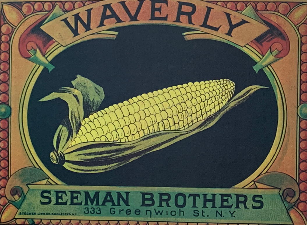 34x43 - COD: 5U - V22 - 16