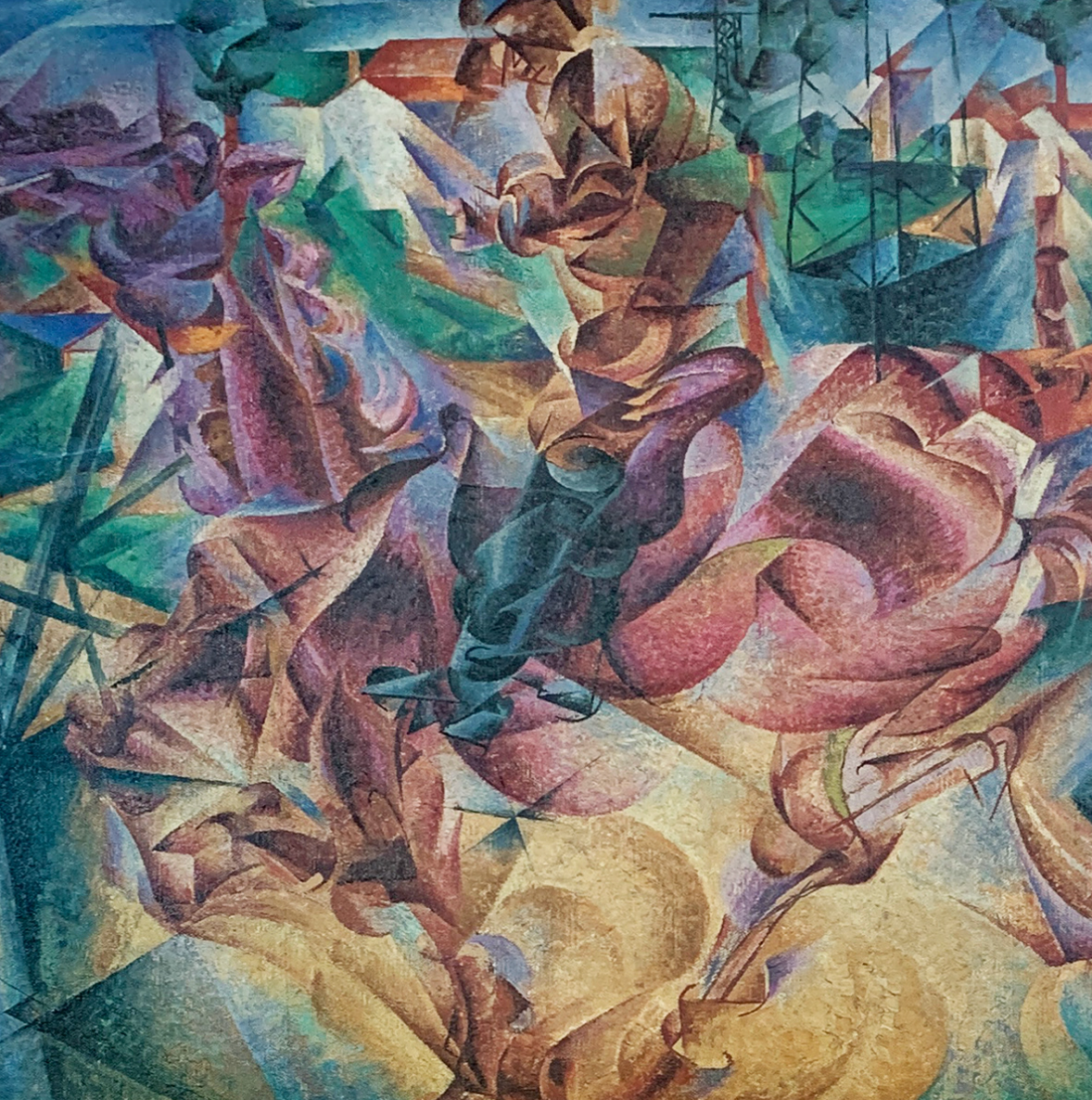 51x66 - COD: 4T - M08 - 24