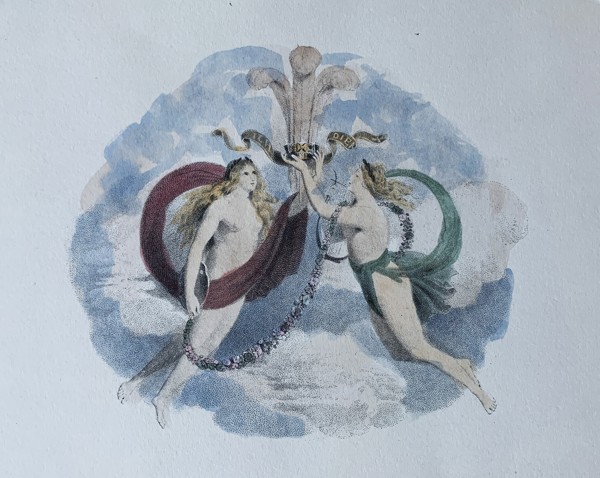 35x25 - COD: 3Q - i31 - 25