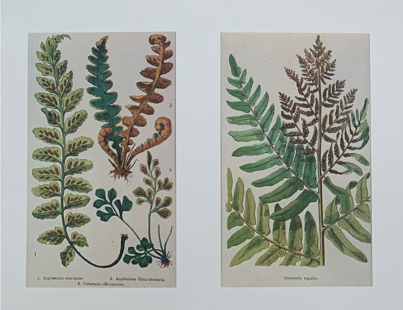 25x25 - COD: 6CC - C28 - 10