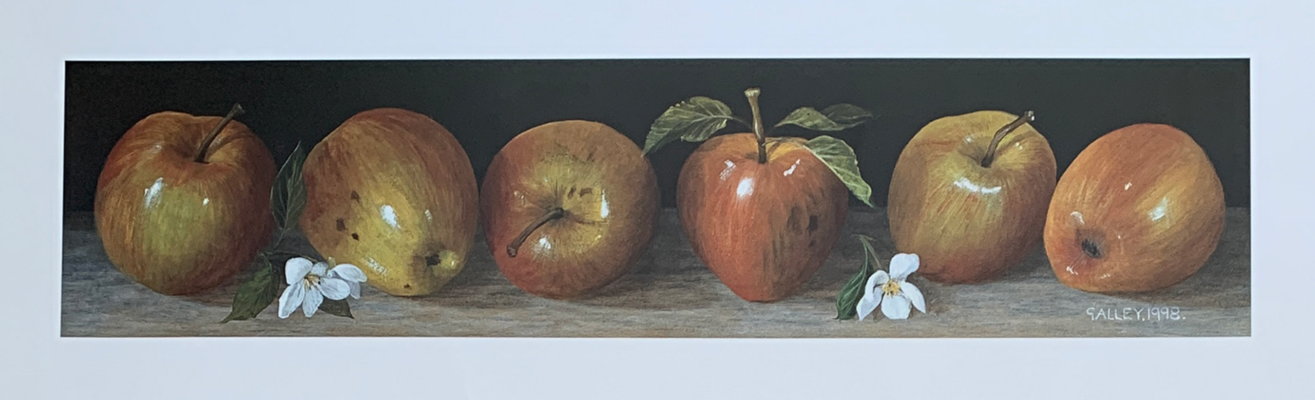 61x20 - COD: 6CC - C14 - 16