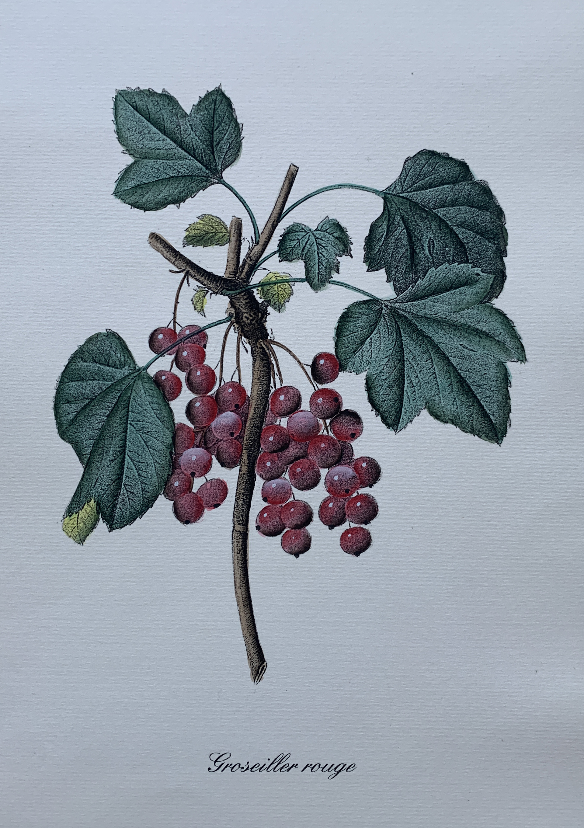 35x50 - COD: 3Q - i30 - 88