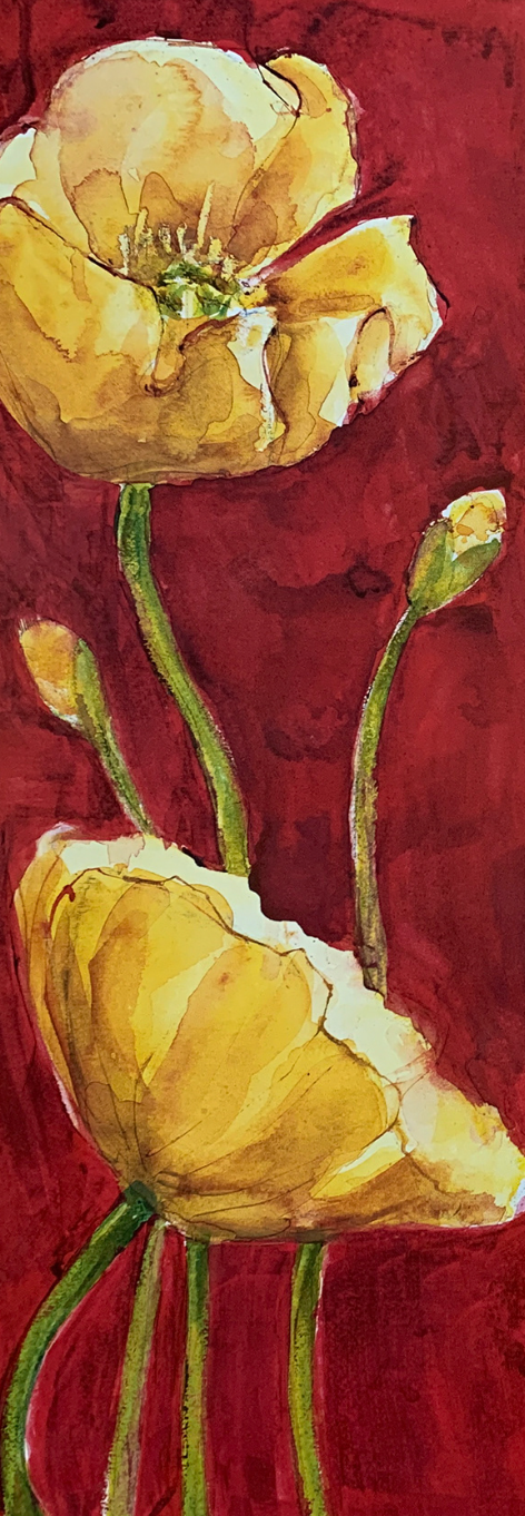 25x70 - 5Y - F24 - 20