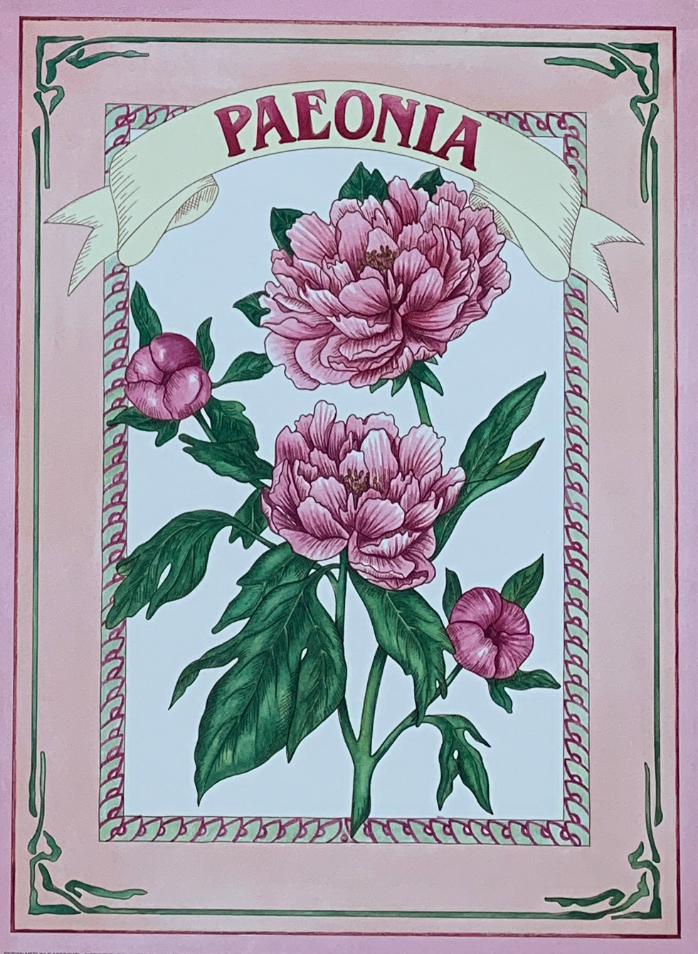 30x40 COD: LC317