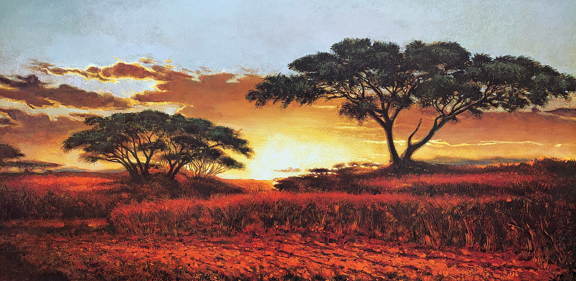 140x70 COD: LBB029 - 72