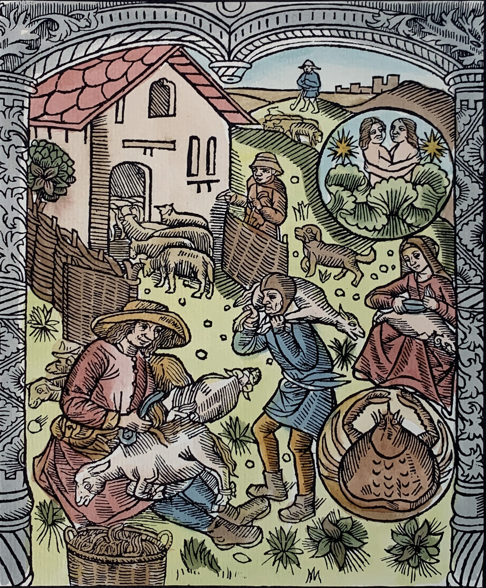 35x25cm - COD: 2LZ - 20 - 26