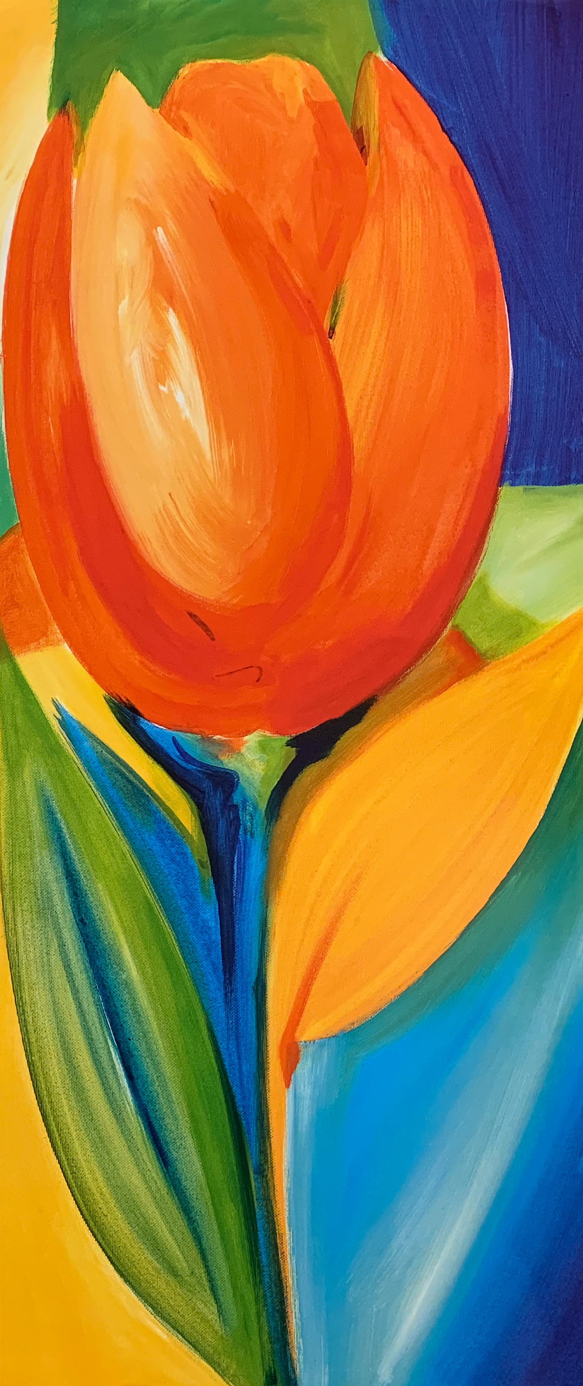 30x70 LF 543