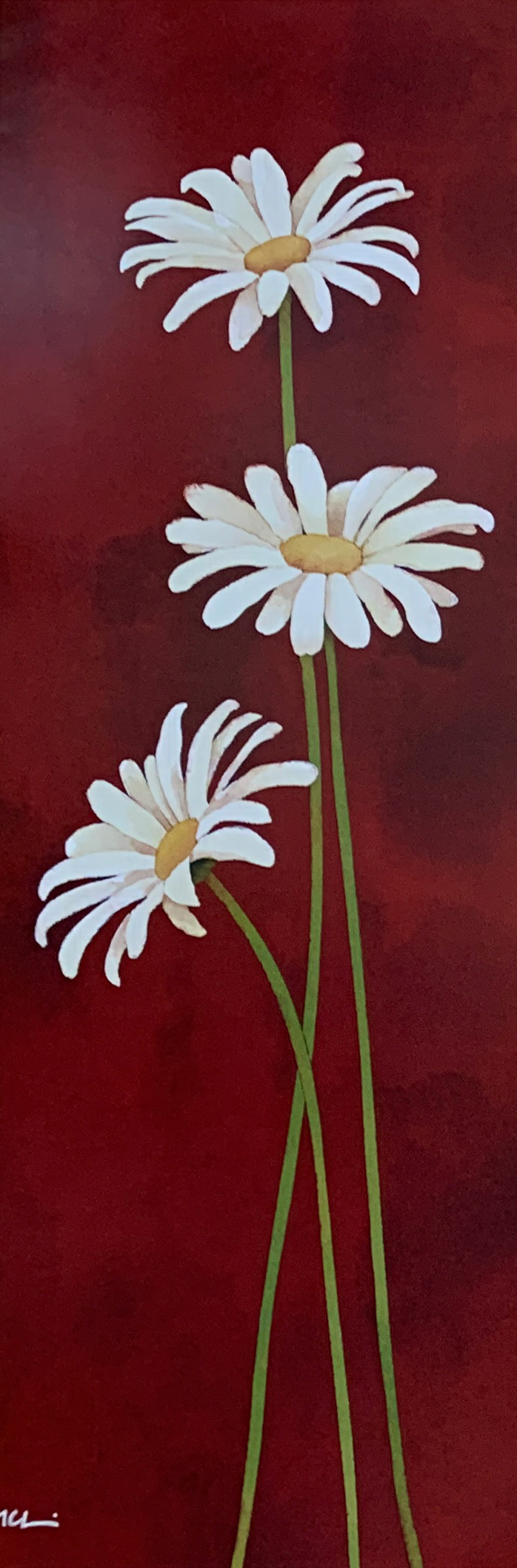 25x70 LF 514