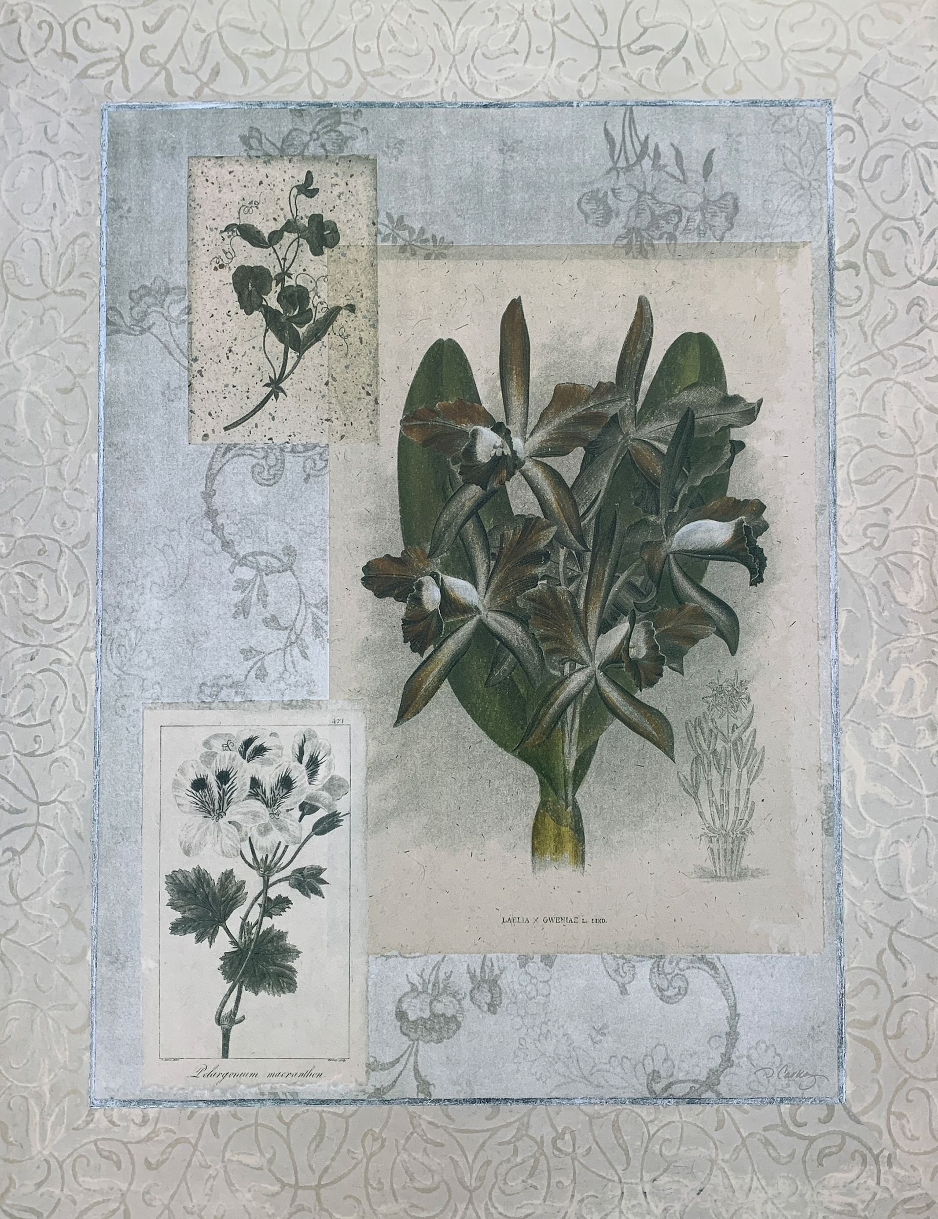 56x70 COD: LC333