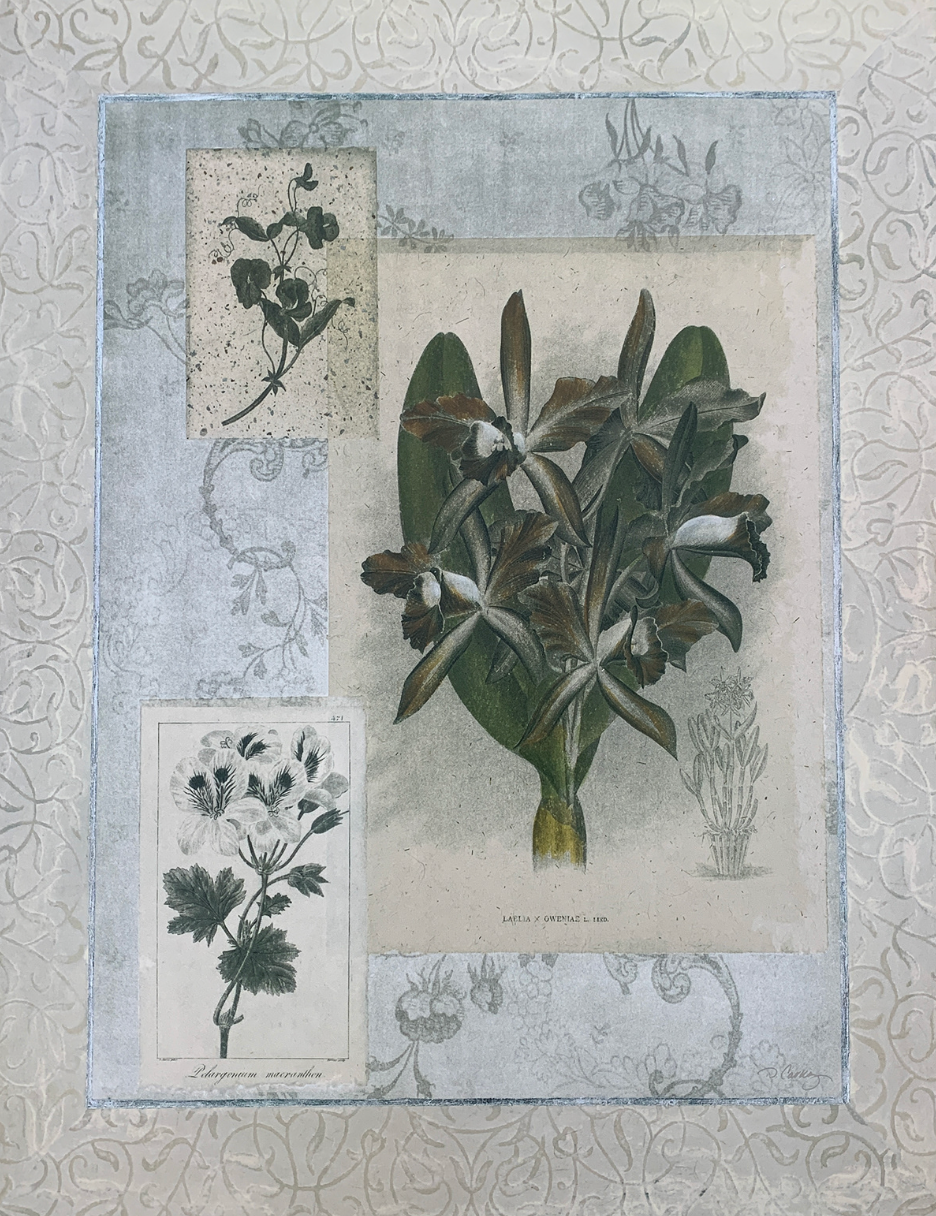 55x70 - COD: 6BB - C27 - 24