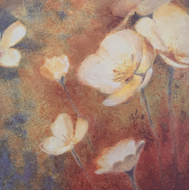 50x50 - 5Y - F08 - 29