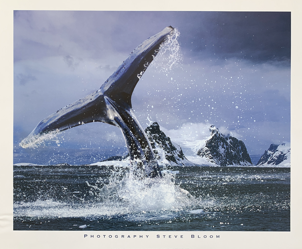 55x48 - 6EE - F04 - 18