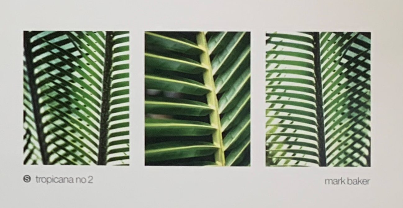 35x20 - 6EE - F35 - 12