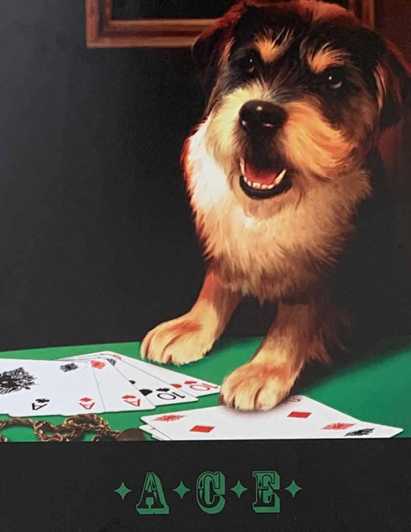 28x35 - COD: 1D - F05 - 10