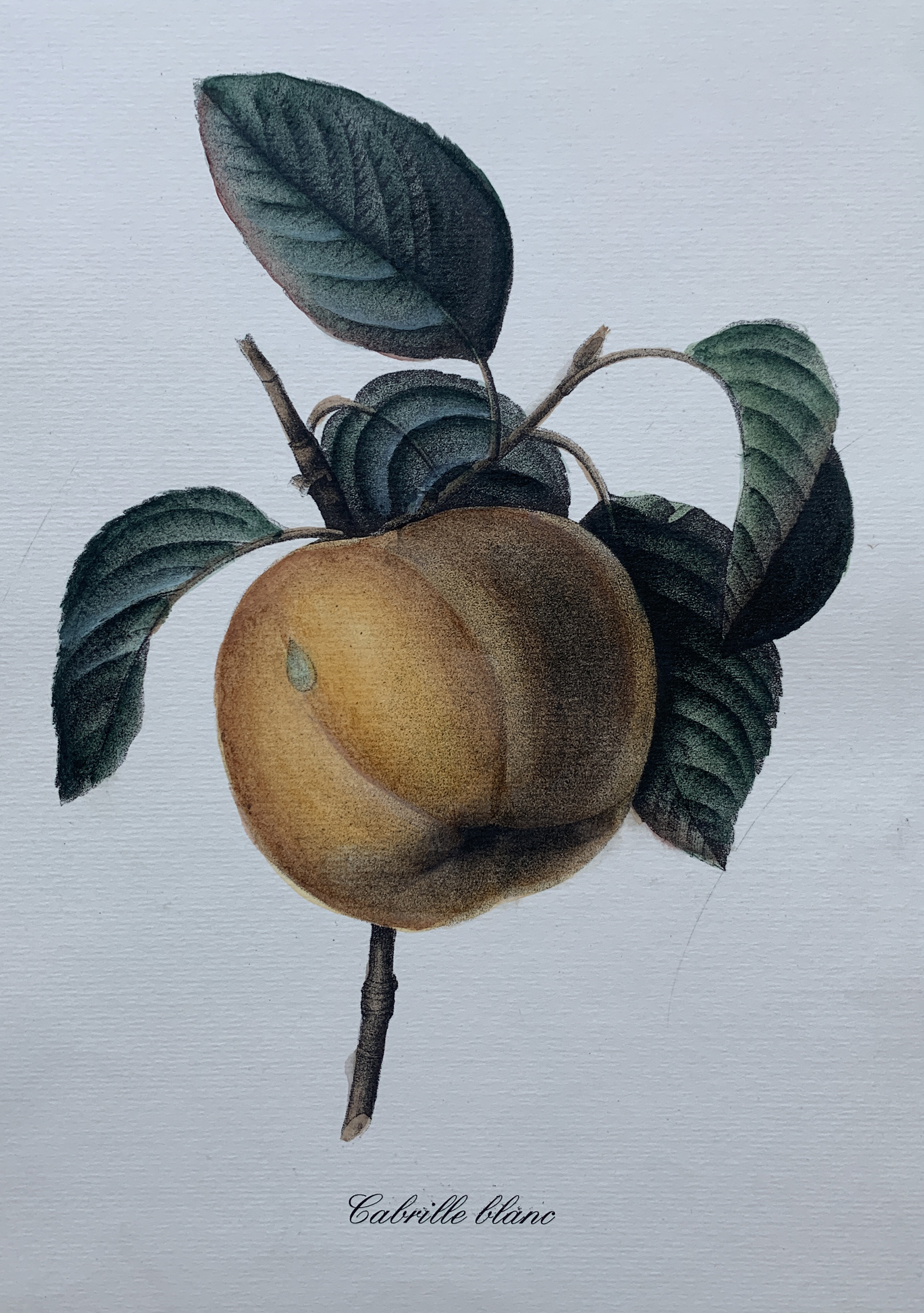 35x50 - COD: 3Q - i27 - 88