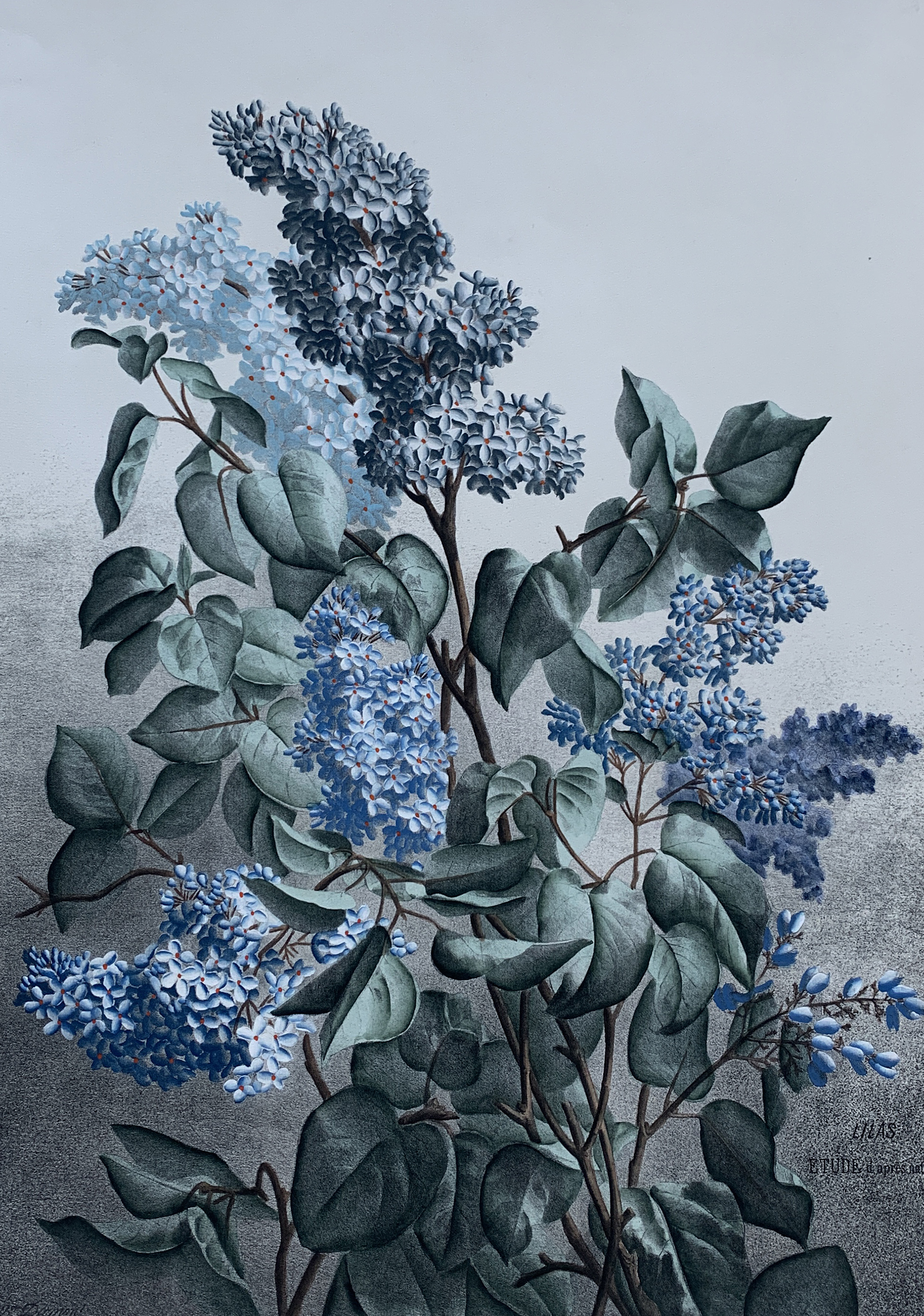 70x100 - COD: 3P - i03 - 120